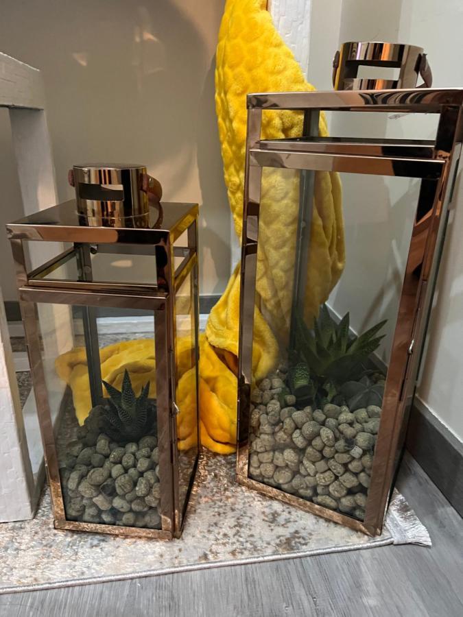 Casa Das Flores Ll Paredes de Coura Eksteriør bilde