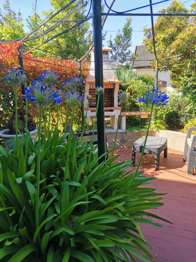 Casa Das Flores Ll Paredes de Coura Eksteriør bilde